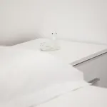 Vija * Шенджин